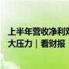 上半年营收净利双降，张裕A：完成2024年业绩目标面临巨大压力｜看财报