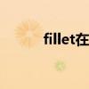 fillet在cad里面的命令（fillet）