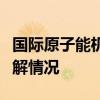 国际原子能机构总干事将赴库尔斯克核电站了解情况