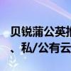 贝锐蒲公英推出自研OrayOS操作系统！内网、私/公有云互联