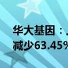 华大基因：上半年净利润1819.98万元 同比减少63.45%