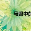 马眼中的人类是什么（人马眼花）