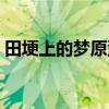 田埂上的梦原型是谁（田埂上的梦背景音乐）