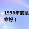 1996年的鼠几月出生最好（1996年属鼠几月命好）