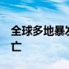 全球多地暴发西尼罗河病毒疫情 至少62人死亡