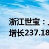 浙江世宝：上半年净利润6688.78万元 同比增长237.18%