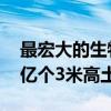 最宏大的生物工程！白蚁用3800年 打造了2亿个3米高土丘