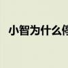 小智为什么停播了（小智为什么不直播了）