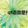 qt语音是什么玩意啊（qt语音是什么）