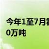 今年1至7月霍尔果斯口岸进出口货运量超2500万吨