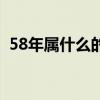 58年属什么的生肖今年多大（58年属什么）