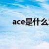 ace是什么意思饭圈（ace是什么意思）