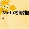 Meta考虑推出混合现实眼镜 内部代号“海鹦”