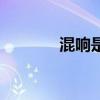 混响是什么菜（混响是什么）