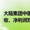 大陆集团中国区“宫斗”发酵，公司上半年营收、净利润双降