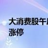 大消费股午后拉升 大连友谊、中央商场双双涨停