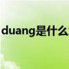 duang是什么意思网络用语（duang是什么）