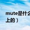 mute是什么意思哨向（mute是什么意思车上的）