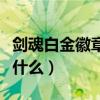 剑魂白金徽章选什么属性好（剑魂白金徽章选什么）