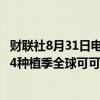 财联社8月31日电，国际可可组织（ICCO）cheng ,2023/24种植季全球可可供应缺口预计为46.2万吨。