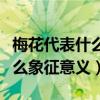 梅花代表什么象征意义四字成语（梅花代表什么象征意义）