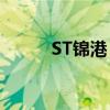 ST锦港：收到上交所监管工作函