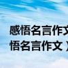 感悟名言作文500字《失败是成功之母》（感悟名言作文）