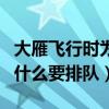 大雁飞行时为什么要排成一字（大雁飞行时为什么要排队）