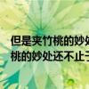 但是夹竹桃的妙处还不止于此中的此是什么意思（但是夹竹桃的妙处还不止于此）