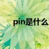 pin是什么意思中文（pin是什么意思）