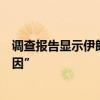 调查报告显示伊朗已故总统莱希直升机坠毁事故系“天气原因”