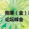 刚果（金）总统齐塞克迪抵京 出席中非合作论坛峰会