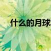 什么的月球填合适的动词（什么的月球）