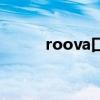 roova口红是什么牌子（roova）