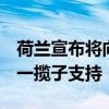 荷兰宣布将向乌克兰提供价值超2亿欧元的新一揽子支持