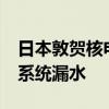 日本敦贺核电站2号机组乏燃料池和设备冷却系统漏水