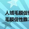 人绒毛膜促性腺激素3000是什么意思（人绒毛膜促性腺3000多）