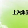 上汽集团2024半年报盈利66.3亿