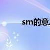 sm的意思网络用语（sm的意思）