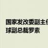 国家发改委副主任李春临会见美国通用电气航空航天集团全球副总裁罗素