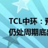 TCL中环：预计2024年下半年全球光伏产业仍处周期底部