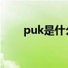 puk是什么意思（iccid是什么意思）