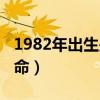 1982年出生是什么命女（1982年出生是什么命）