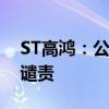 ST高鸿：公司及相关当事人受到深交所公开谴责