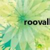 roovalley红酒多少钱（roova）