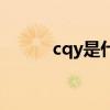 cqy是什么意思网络用语（cqy）