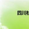 四川杉杉新材料公司增资5亿