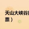 天山大峡谷门票价目表2024（天山大峡谷门票）