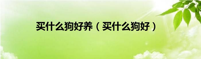 家庭适合养什么猫（家庭适合养什么狗狗最好）