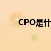 CPO是什么意思（cpo是什么意思）